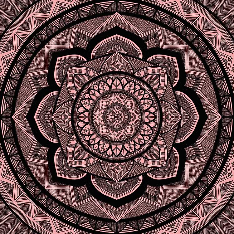 artist cover