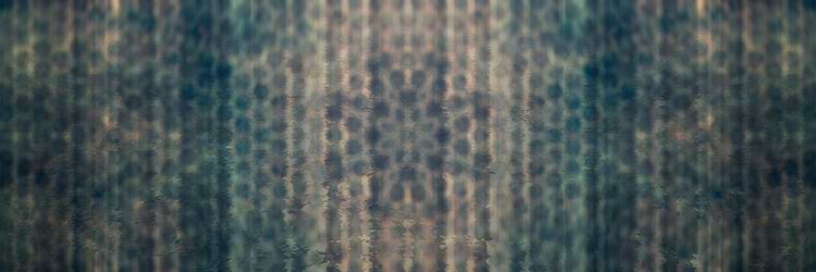 artist cover