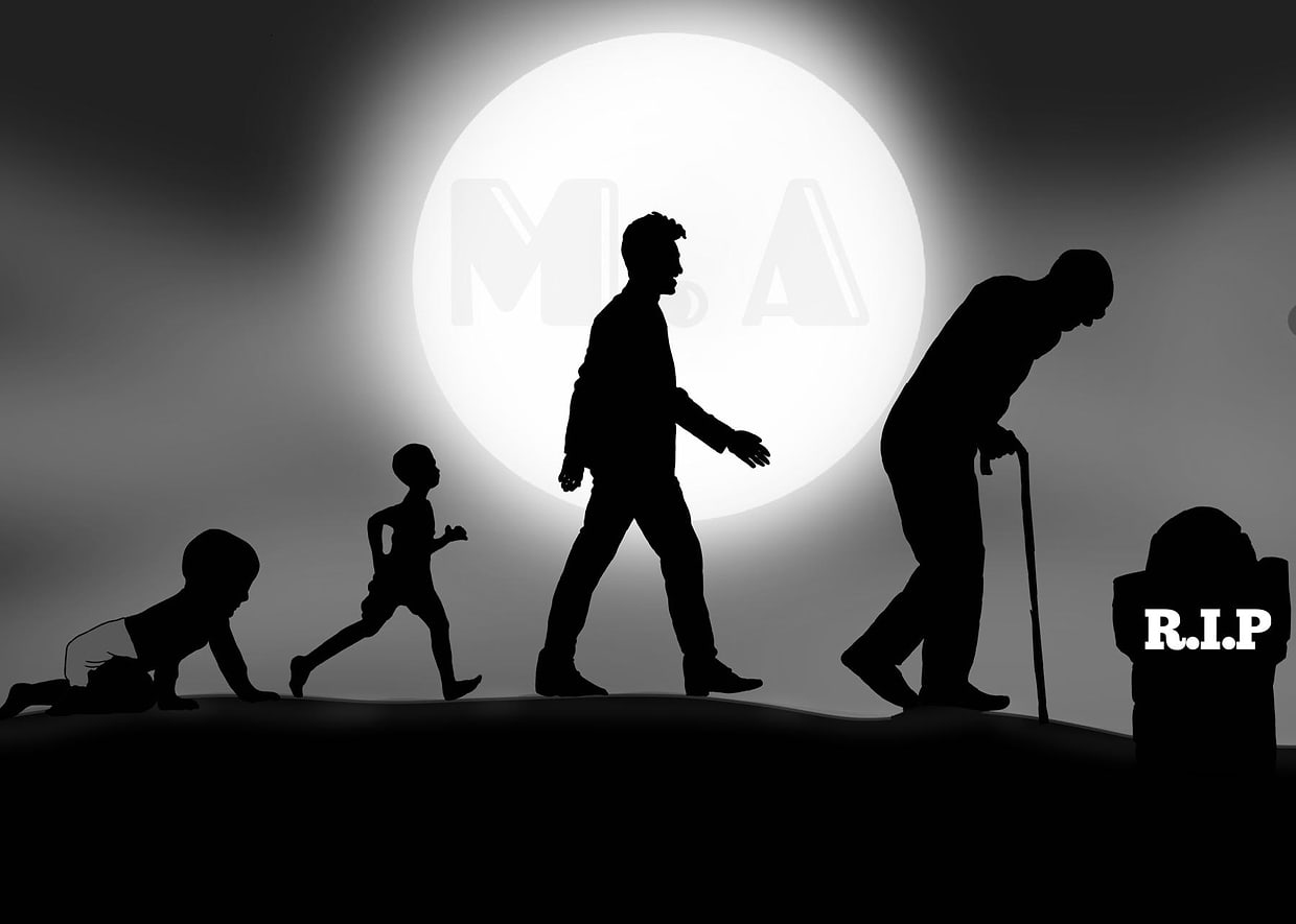 artist cover