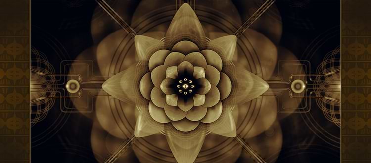 artist cover