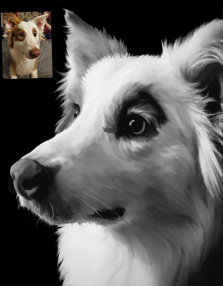 artist cover