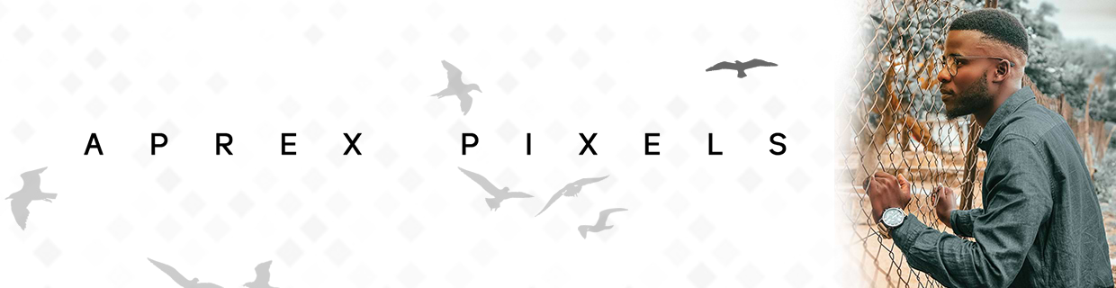 artist cover