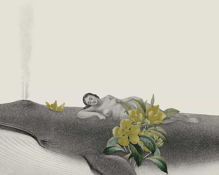 artist cover
