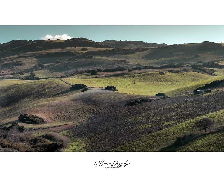 artist cover