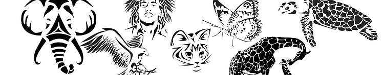 artist cover