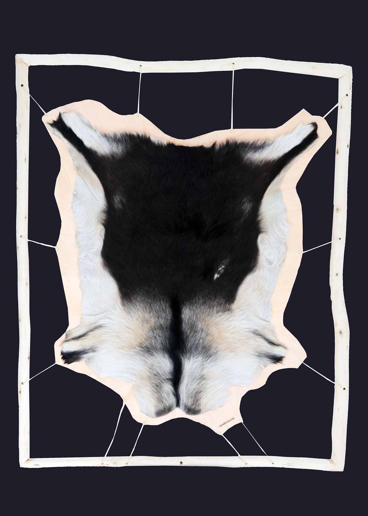 artist cover