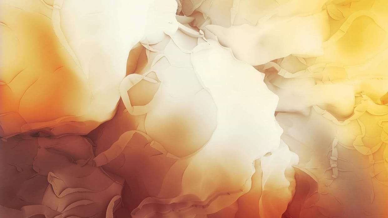 artist cover