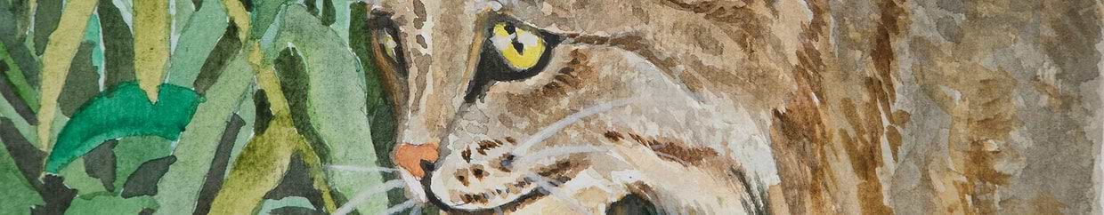 artist cover