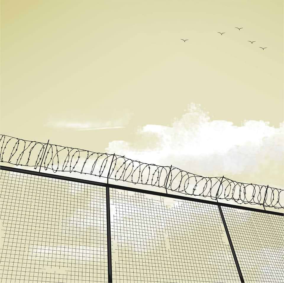 artist cover