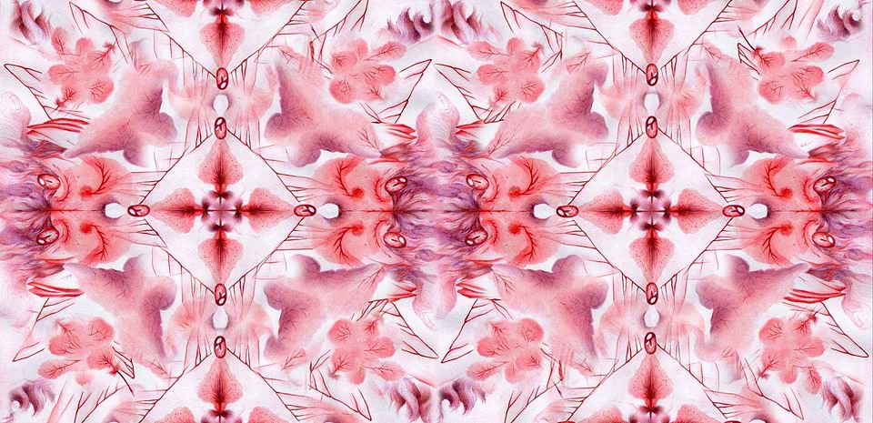 artist cover
