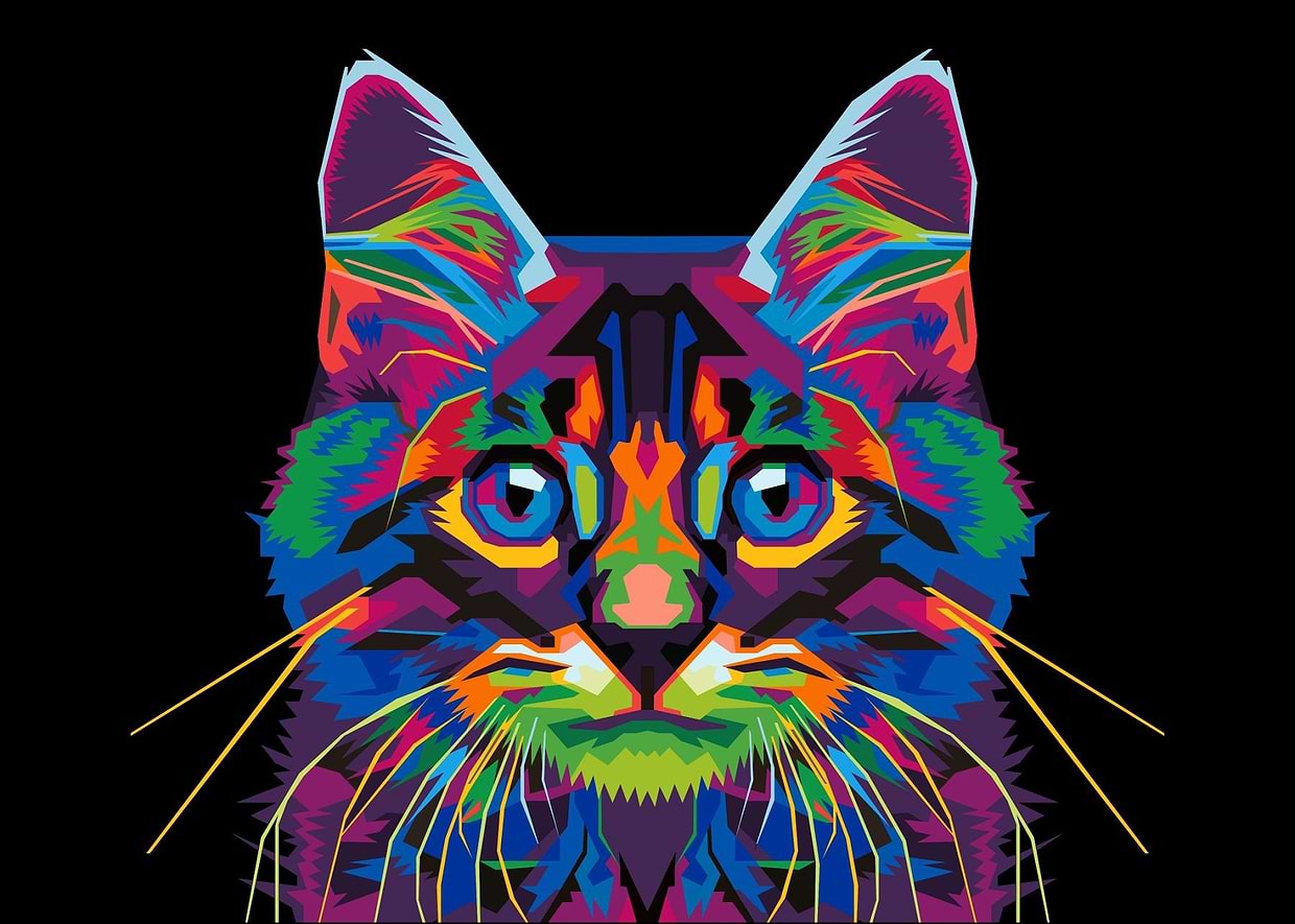 artist cover