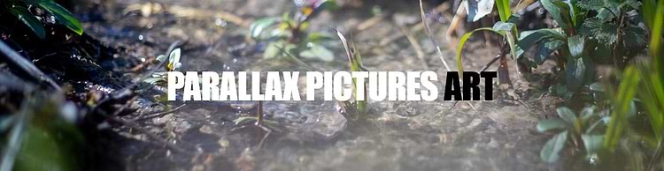 artist cover