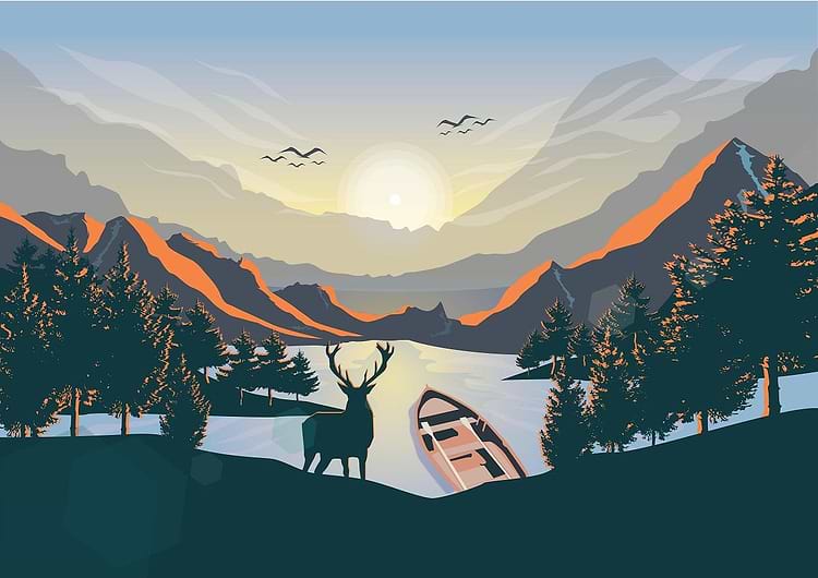 artist cover