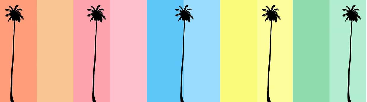 artist cover