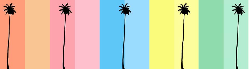 artist cover