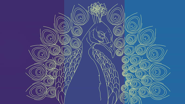 artist cover
