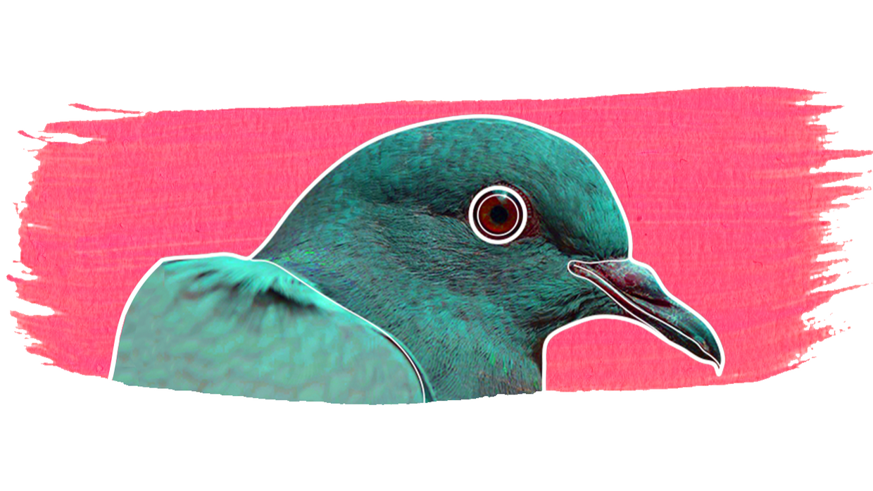 artist cover