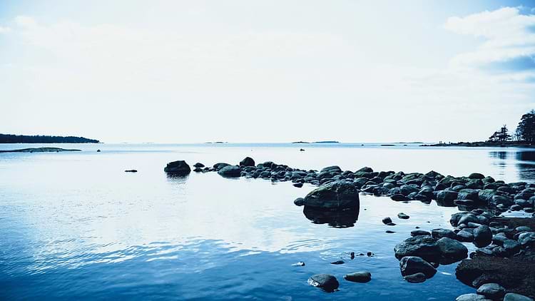 artist cover