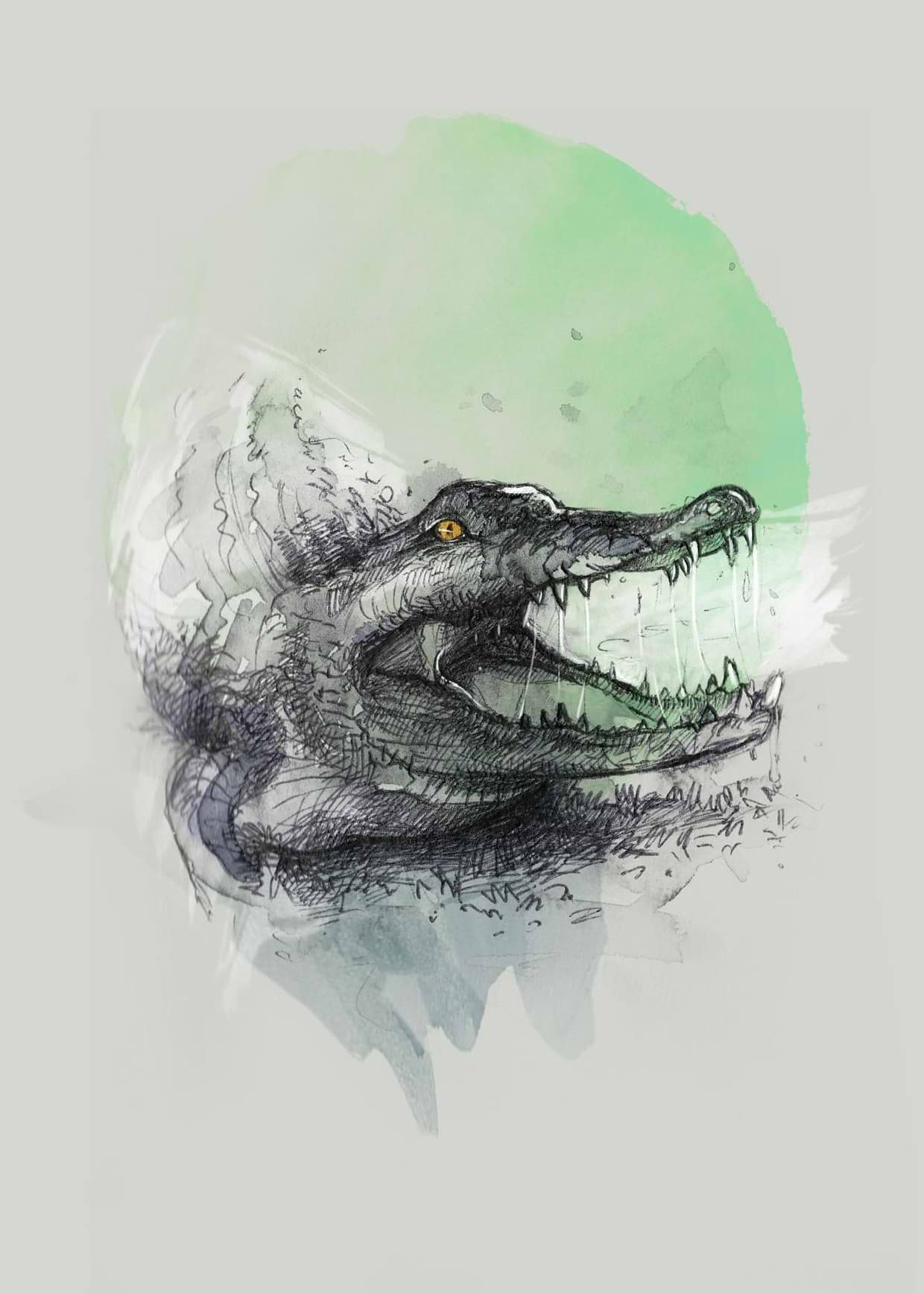 artist cover