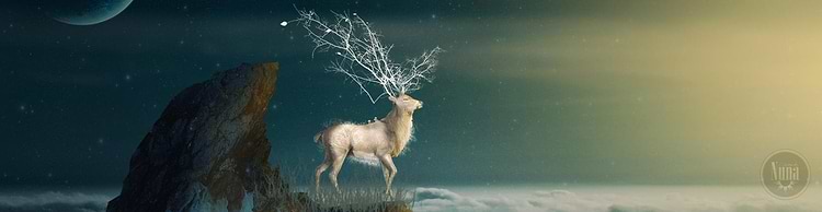artist cover