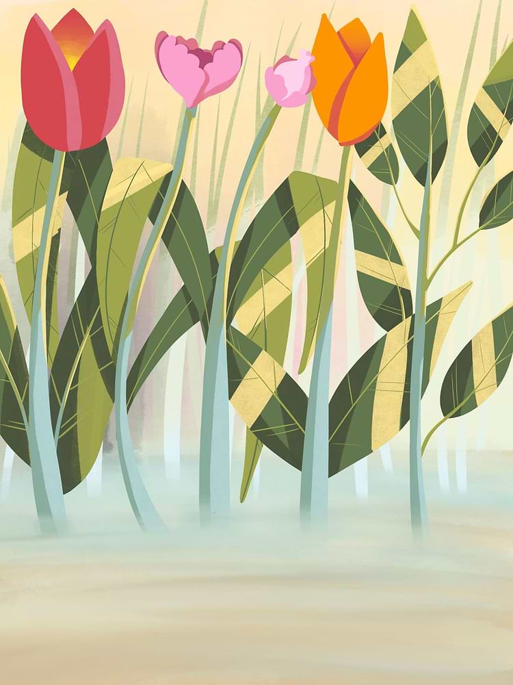 artist cover