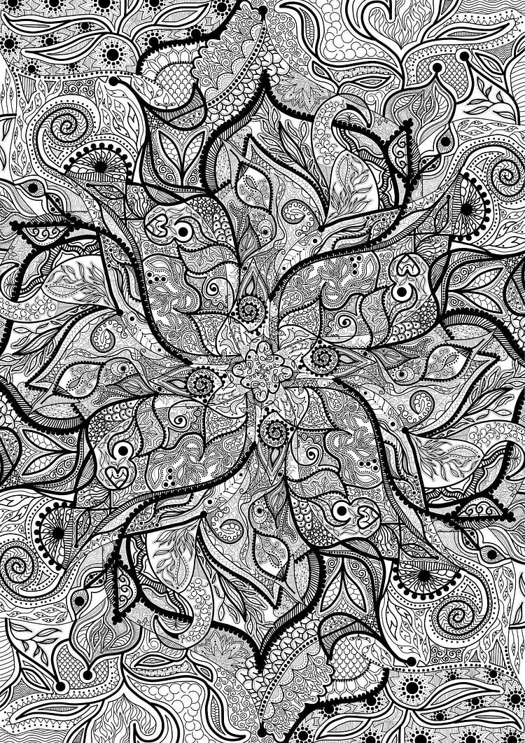 artist cover