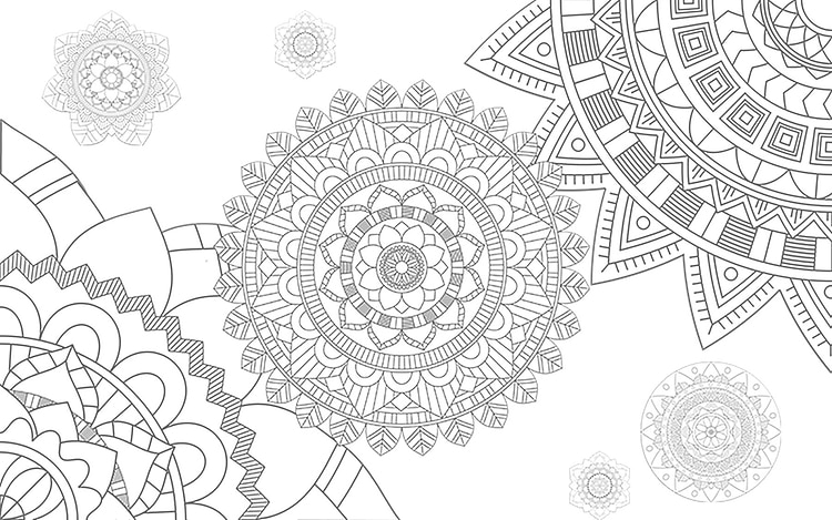 artist cover