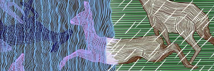 artist cover