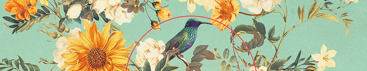 artist cover