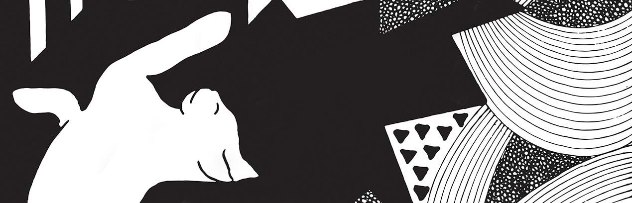 artist cover