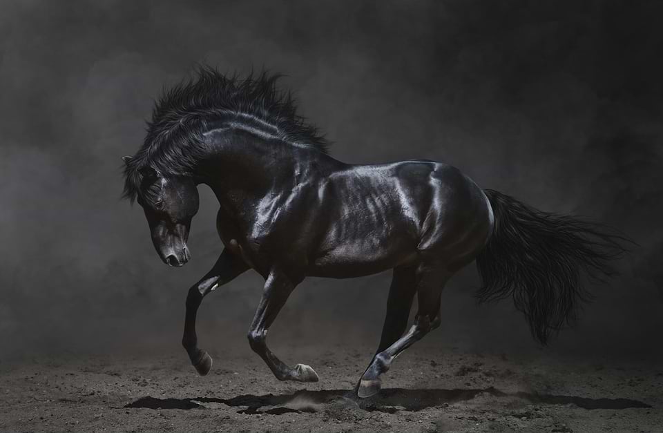 artist cover