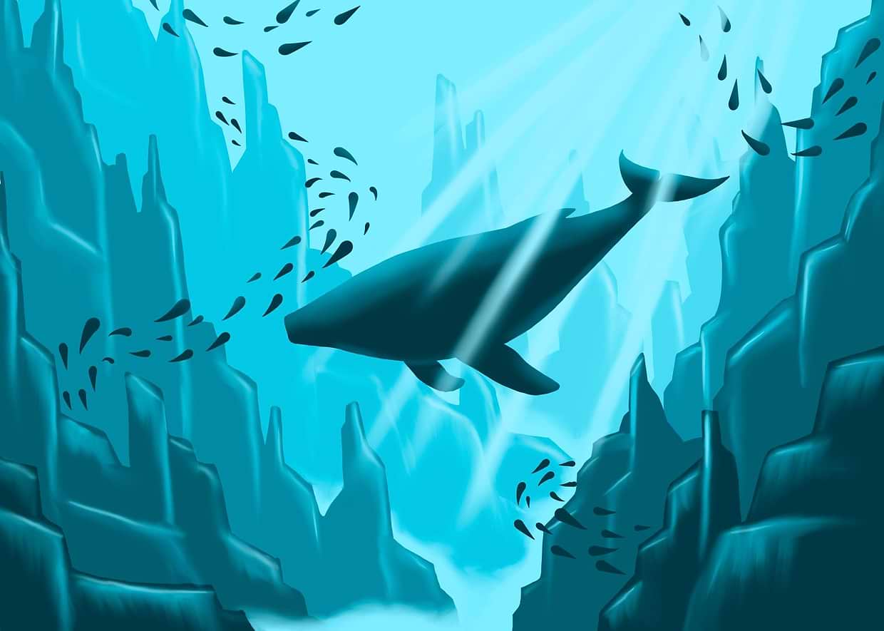 artist cover