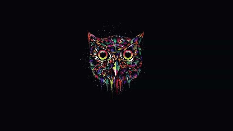 artist cover