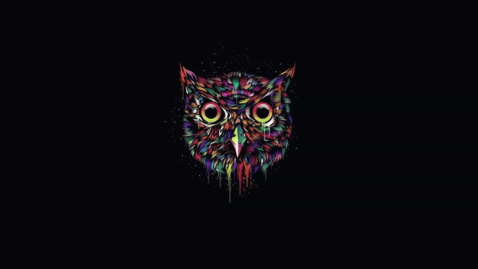 artist cover