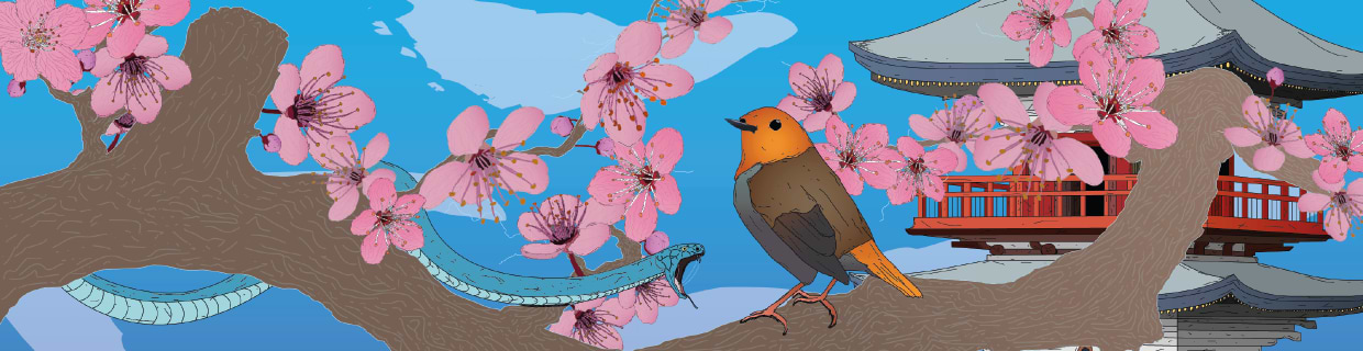 artist cover