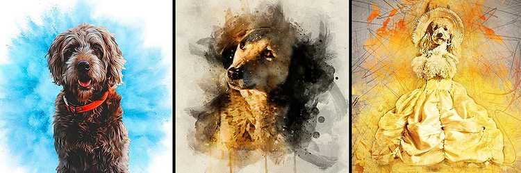 artist cover