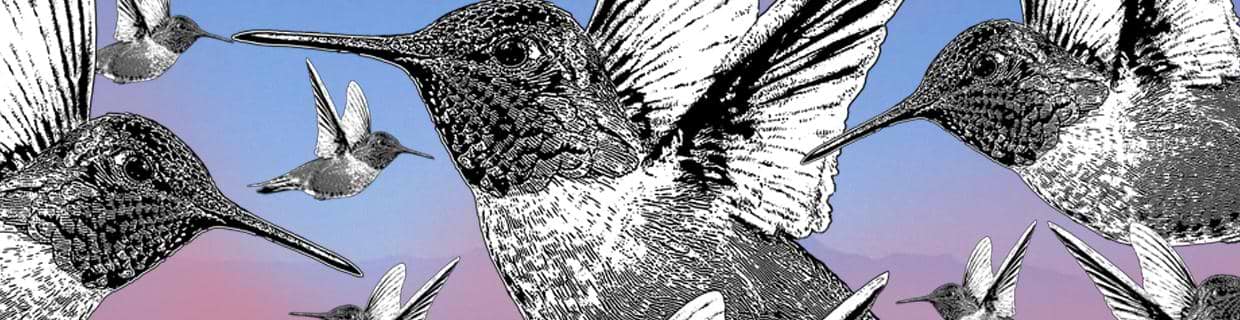 artist cover