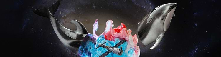 artist cover