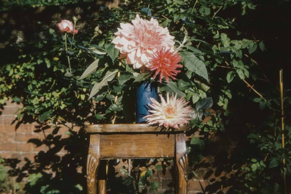 artist cover