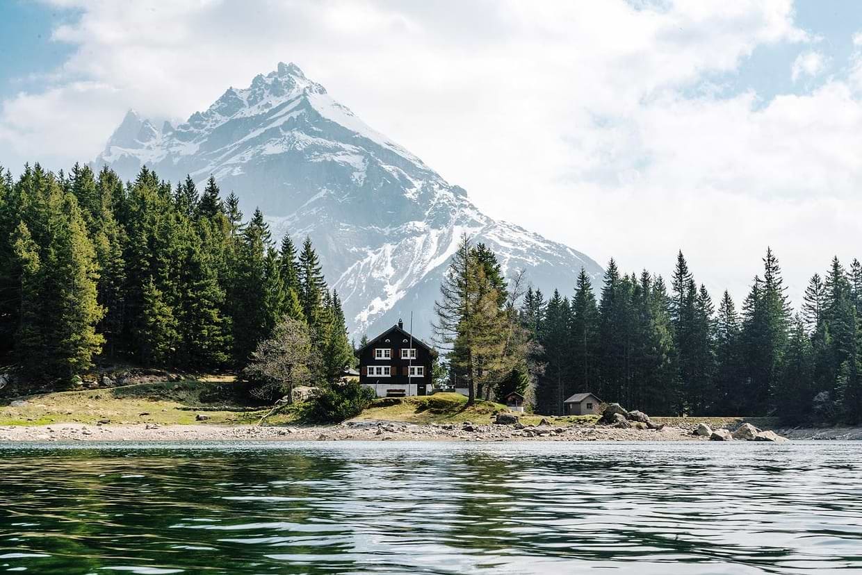 artist cover