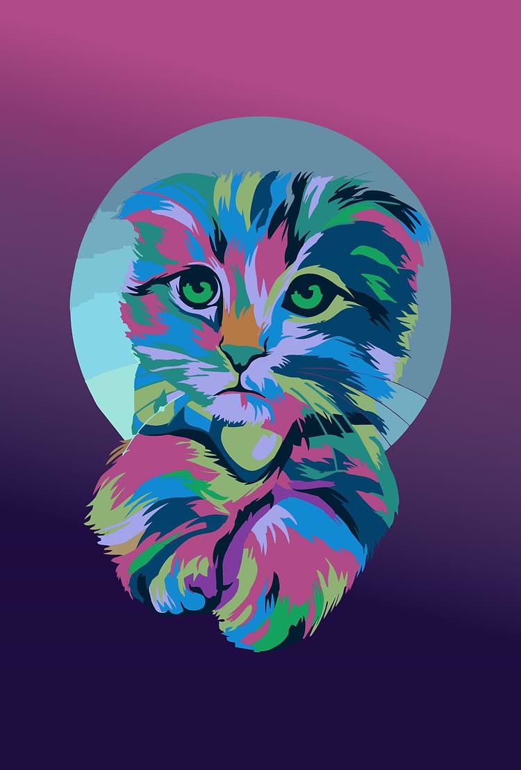artist cover