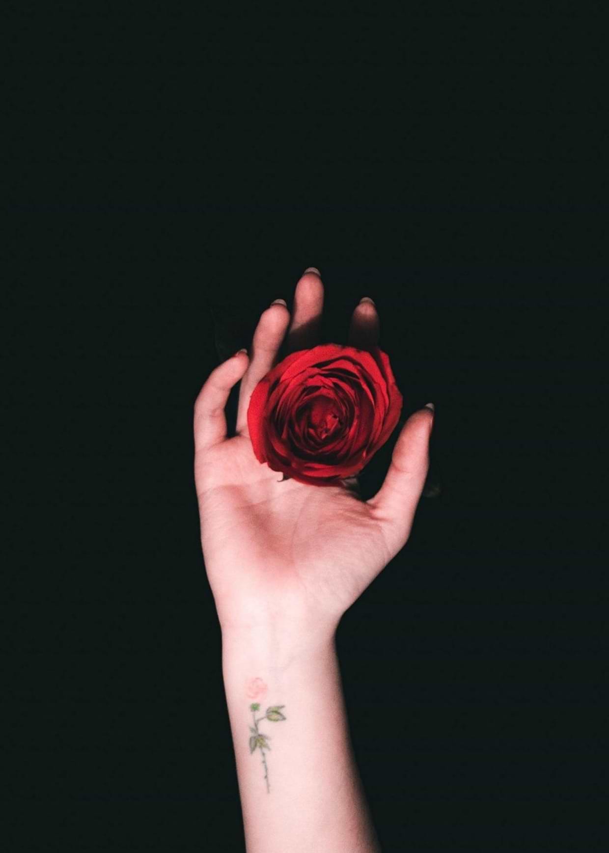 artist cover