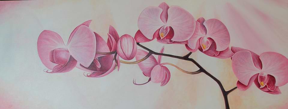 artist cover