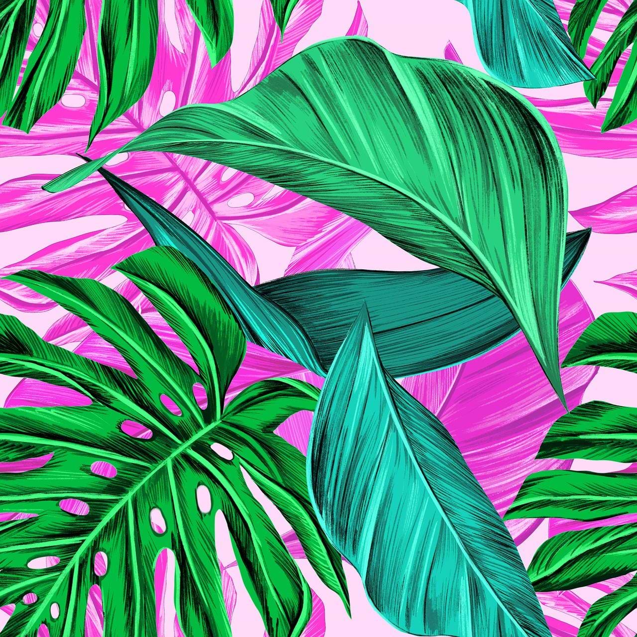 artist cover