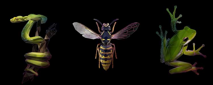 artist cover