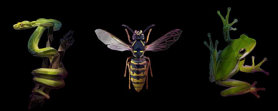 artist cover