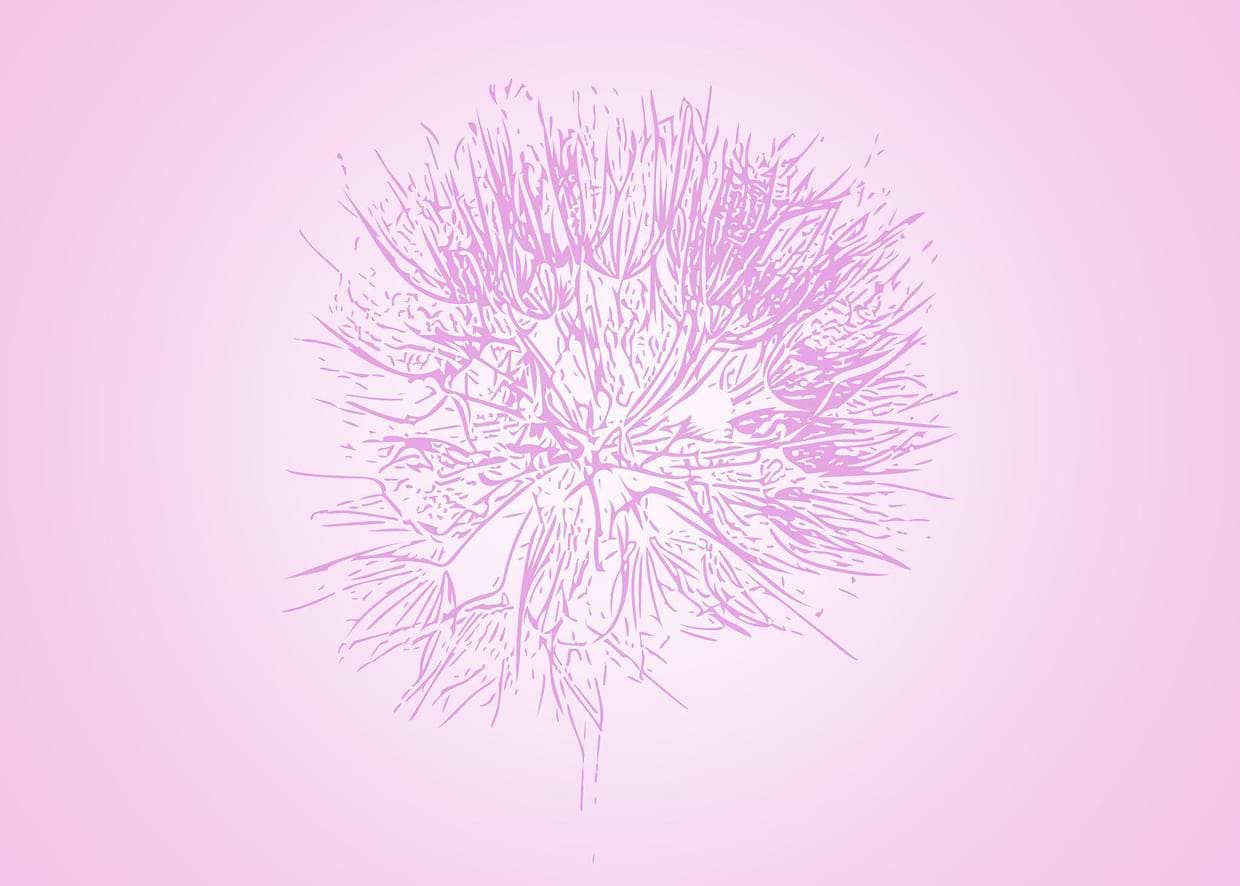 artist cover