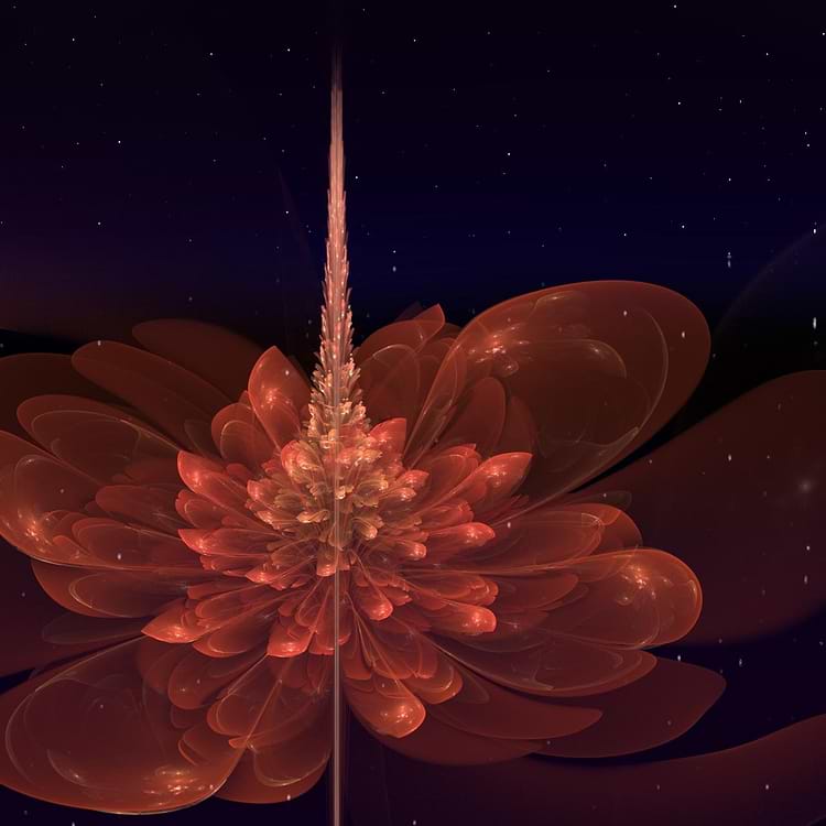 artist cover