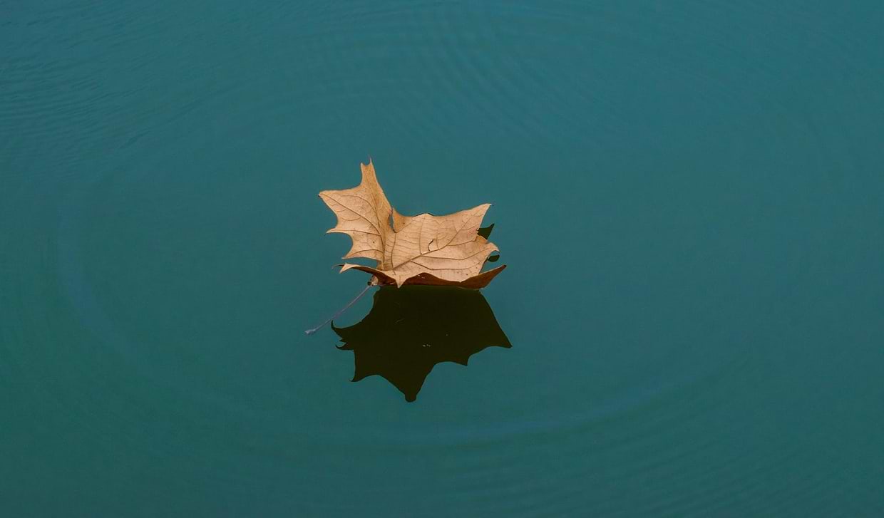 artist cover