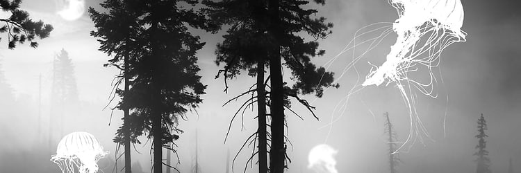 artist cover